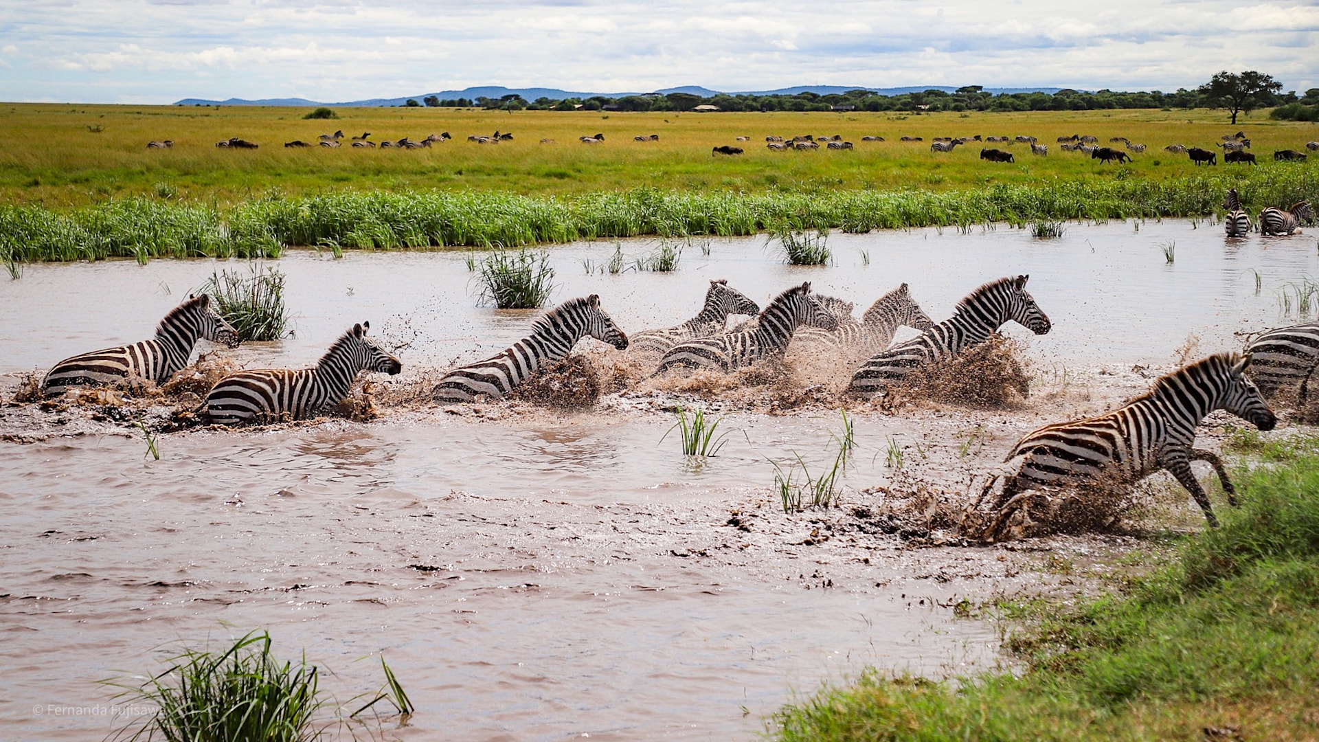 4-Day Tanzania Safari