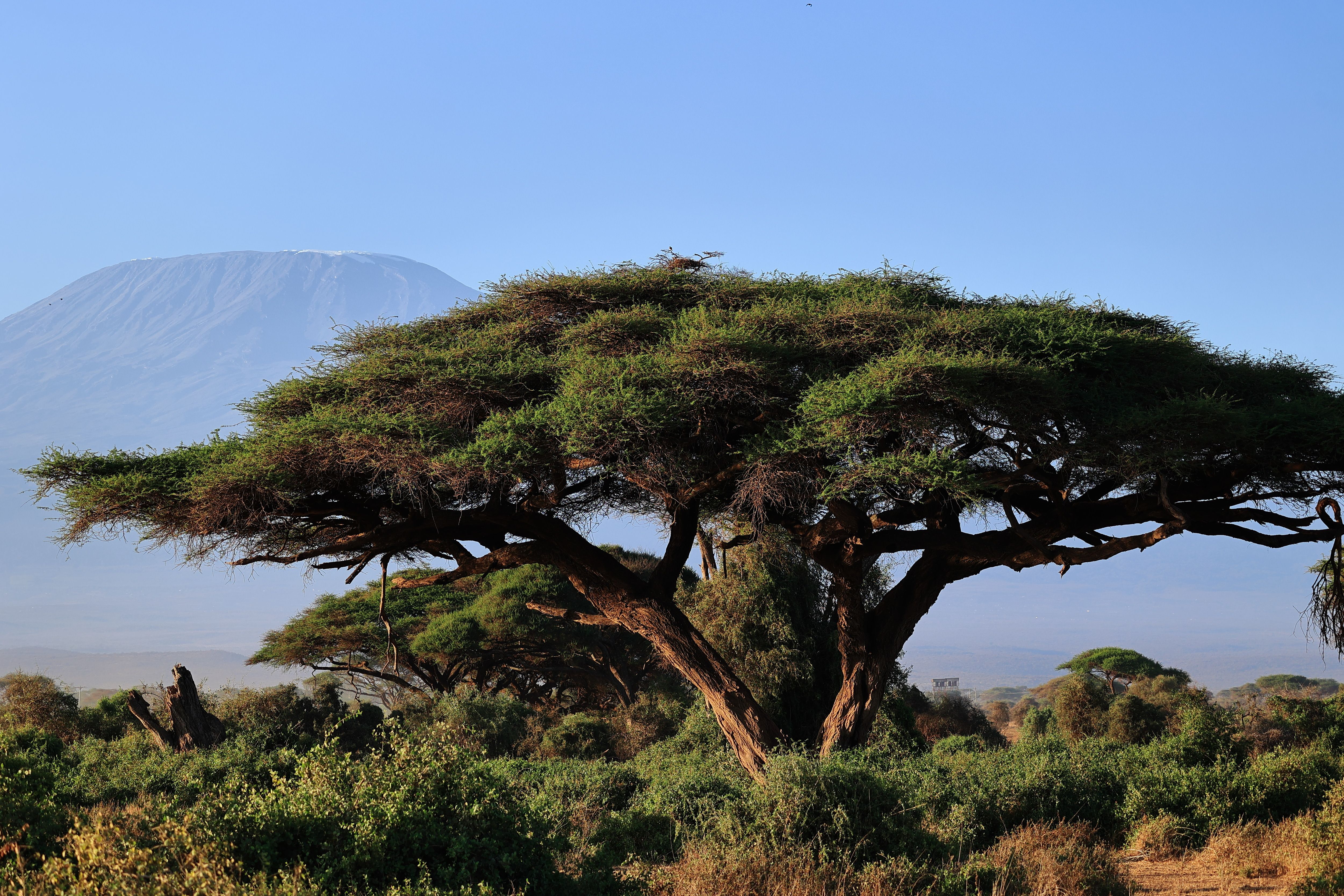 8-Day Tanzania Safari