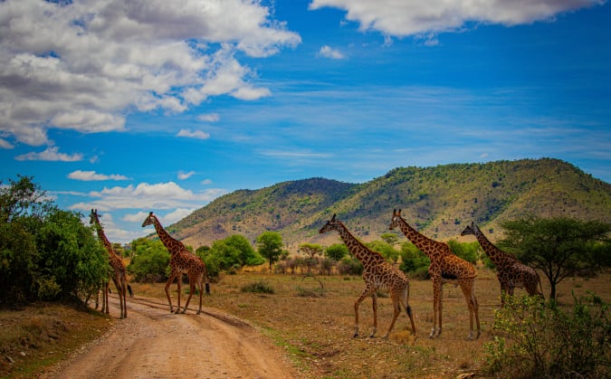 3 Days Tanzania Safari