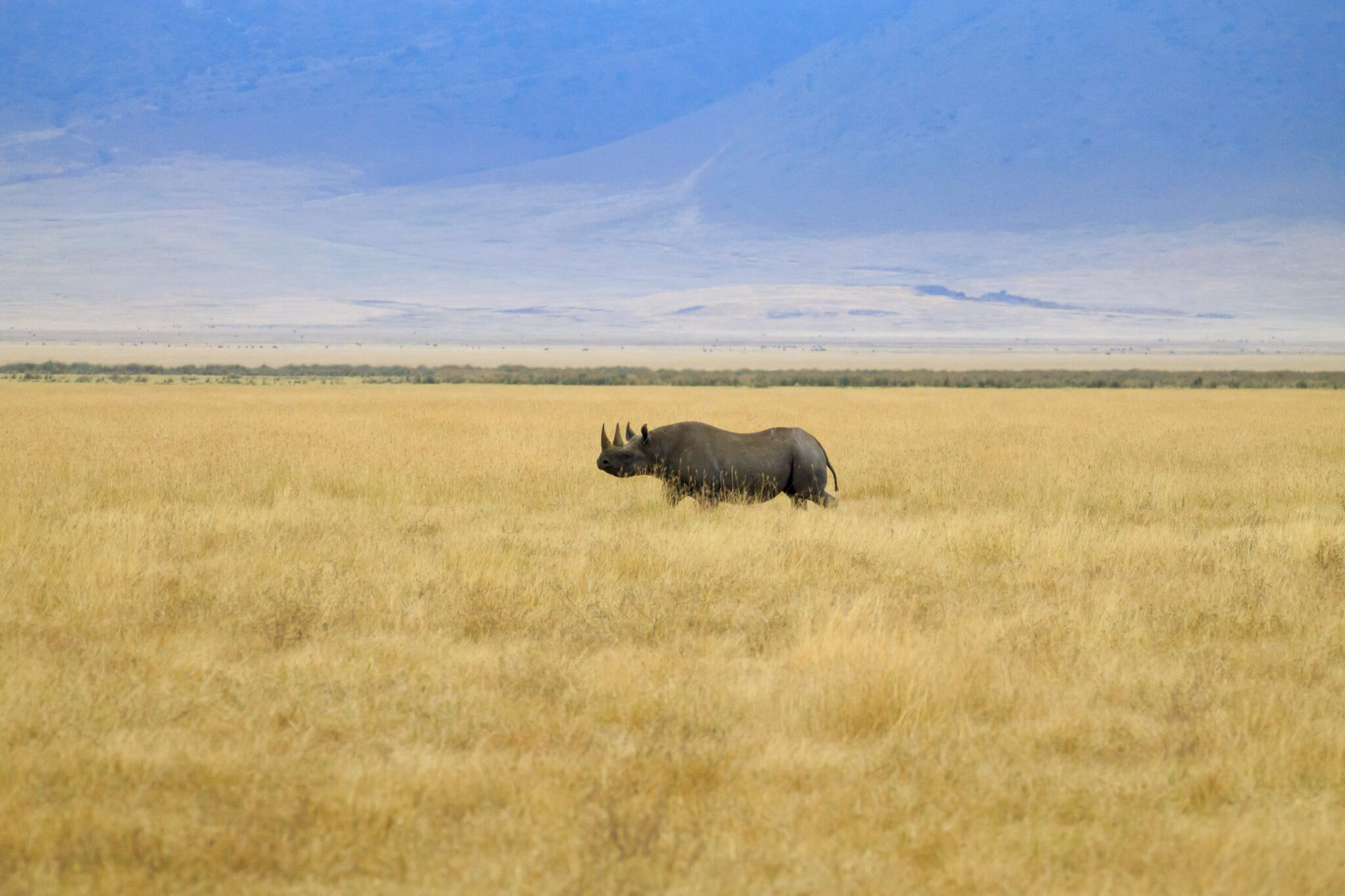 Ngorongoro Crater