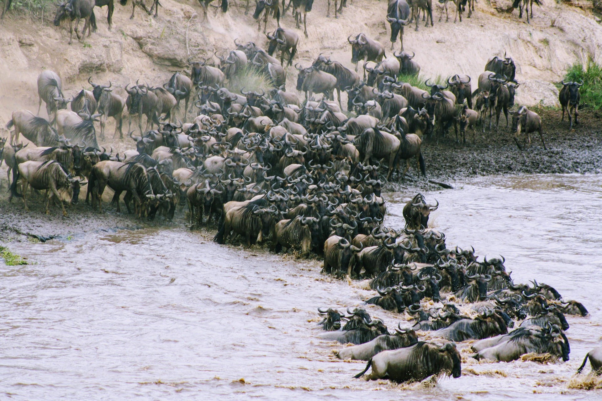 Serengeti National Park